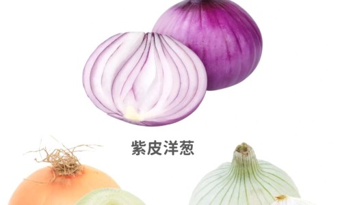 男朋友硬了出汗网- 人体结构几何体速写知识,分享电线为什么是两根